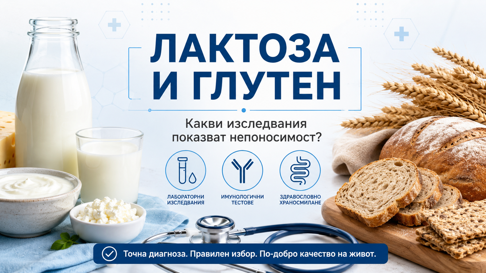 Какви изследвания показват непоносимост към глутен и лактоза